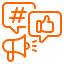 Social Media Management